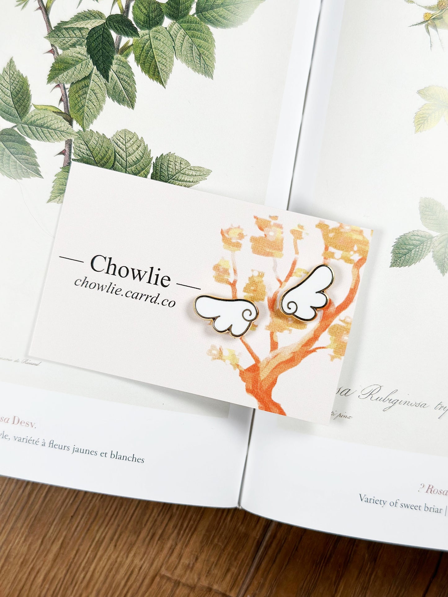 Cute Wings Enamel Pin Set