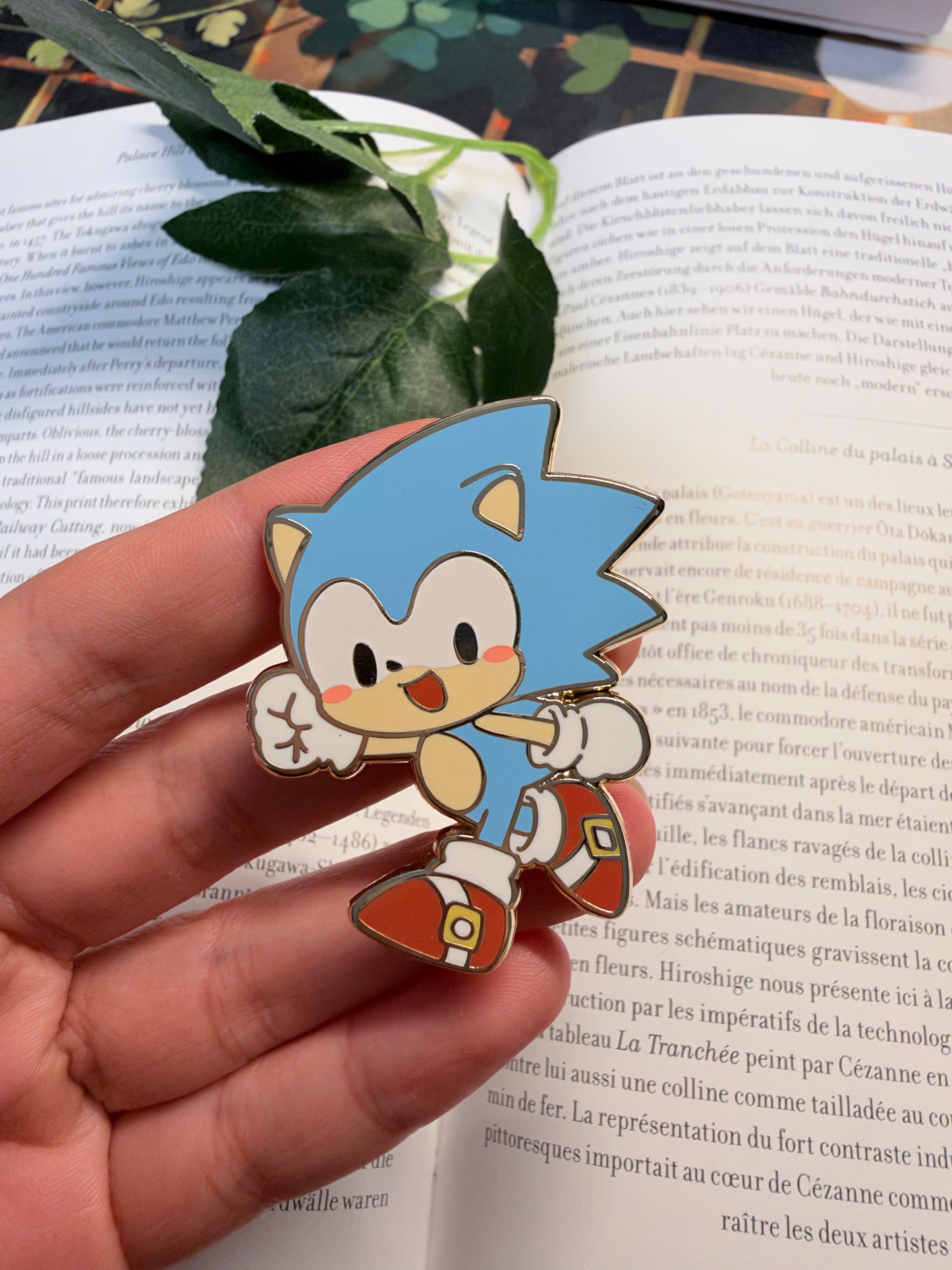 Sonic Enamel Pin