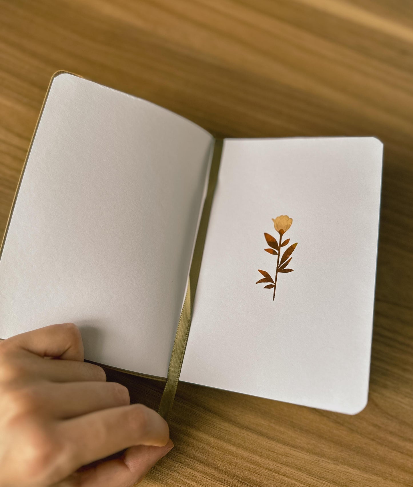 Jirachi Sketchbook & Notebook
